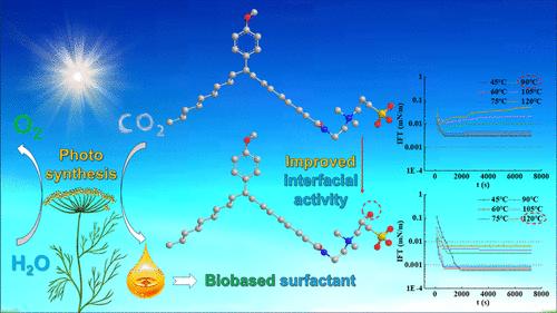β-Hydroxyl Group in the Sulfonic Biobased Zwitterionic Surfactant Improves Its Thermal Tolerance of Interfacial Activity