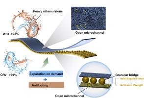 Stabilized Janus micro/nano-paper with lignin nanoparticle bridges for efficient oil-water emulsion separation