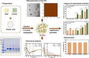 Tannic acid-mediated covalent effects on the structural and antioxidant properties of dual zein/casein protein complex nanoparticles