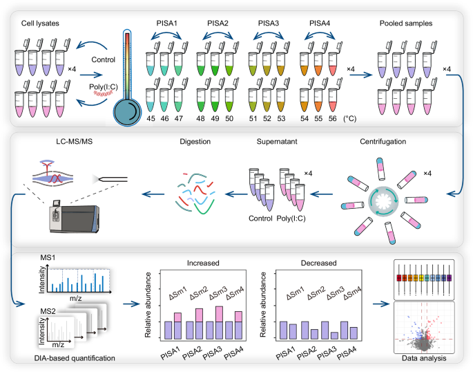 Characterization of dsRNA binding proteins through solubility analysis identifies ZNF385A as a dsRNA homeostasis regulator