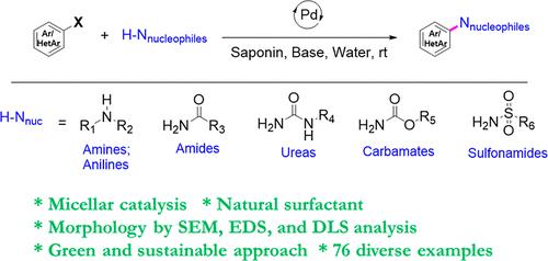 Green Approach for Pd-Catalyzed C–N Bond Formation with Weak Nitrogen Nucleophiles Using Saponin-Based Micellar Catalysis: Arylation of Anilines, Amides, Carbamates, Ureas, and Sulfonamides