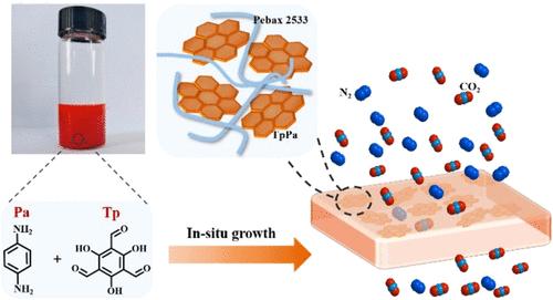In Situ Synthesis of TpPa COFs in Mixed Matrix Membranes for Enhanced CO2 Separation