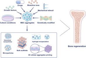 Engineered 3D mesenchymal stem cell aggregates with multifunctional prowess for bone regeneration: Current status and future prospects