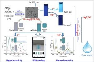 Au-ag quantum dot nanozyme identified for multi-mode fluorescent, UV–vis and intelligent RGB monitoring and removal of toxic Hg2+ and S2− in food samples