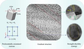 Abstract Image