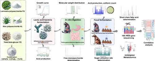 Regulating Effects of Three Polysaccharides on Gut Microbiota in Felines and Canines: Insights from In Vitro Digestion, Fecal Fermentation, and Lactic Acid Bacterial Fermentation