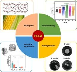 Piezoelectric poly-L-lactic acid for next-generation energy harvesting and biomedical applications
