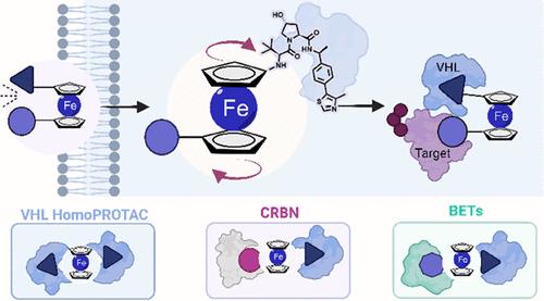Rational Design of PROTAC Linkers Featuring Ferrocene as a Molecular Hinge to Enable Dynamic Conformational Changes