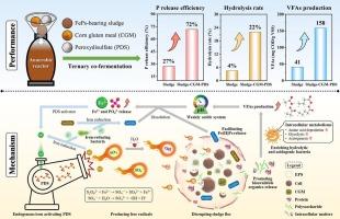 Enhancing phosphorus release and acidogenesis via endogenous iron-activated peroxydisulfate and corn gluten meal in sludge anaerobic fermentation