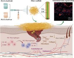 Integrated anti-inflammatory and anti-fibrosis dual drug-loaded core-shell fiber scaffolds: Diabetic wound healing and scar reduction