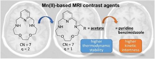 Expanding the Family of Monosubstituted 15-Membered Pyridine-Based Macrocyclic Ligands for Mn(II) Complexation in the Context of MRI