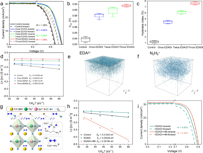 Synergistic immobilization of ions in mixed tin-lead and all-perovskite tandem solar cells