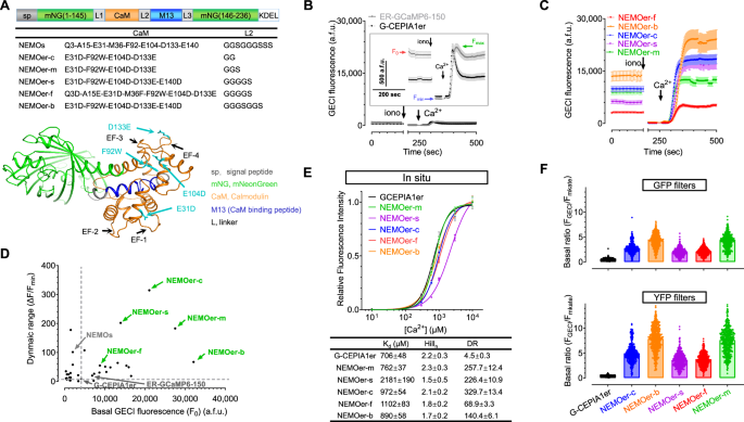 Highly dynamic and sensitive NEMOer calcium indicators for imaging ER calcium signals in excitable cells