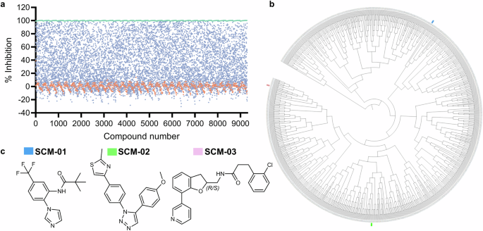 Decoding the selective chemical modulation of CYP3A4