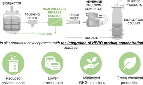 Carboxylic Acid Concentration in Downstream Bioprocessing Using High-Pressure Reverse Osmosis
