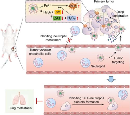 Neutrophil-Mediated Tumor Discrimination Biomimetic Nanodevice for Precise Tumor Eradication and Metastasis Cascade Perturbing