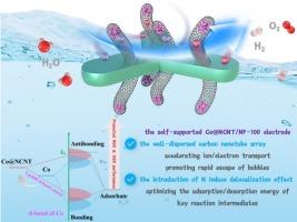 The superhydrophilic and superaerophobic properties and electron redistribution synergistically boost cobalt nanoparticle encapsulated N-doped carbon nanotube arrays electrode for the electrocatalytic overall water splitting performance