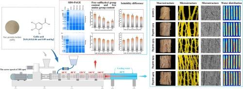 Gallic acid enhanced fiber formation in soy protein isolate-based meat analogues