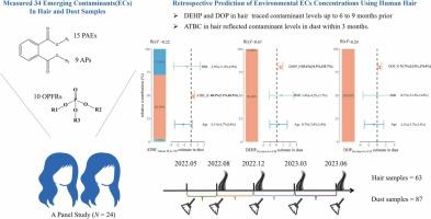 Retrospective Prediction of Environmental Emerging Contaminants Exposure Using Human Hair: Insights into Suitability, Reliability, and Availability