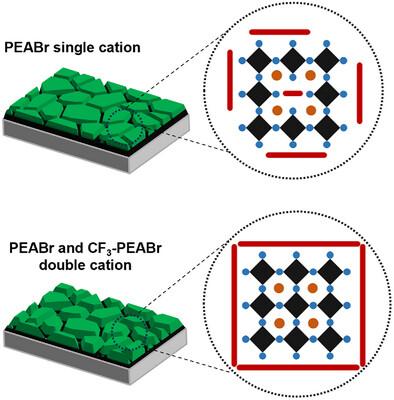 Cation Engineering Enables Sequentially Ordered Growth of 3D and 2D Perovskites for High-Efficiency Perovskite Light-Emitting Diodes