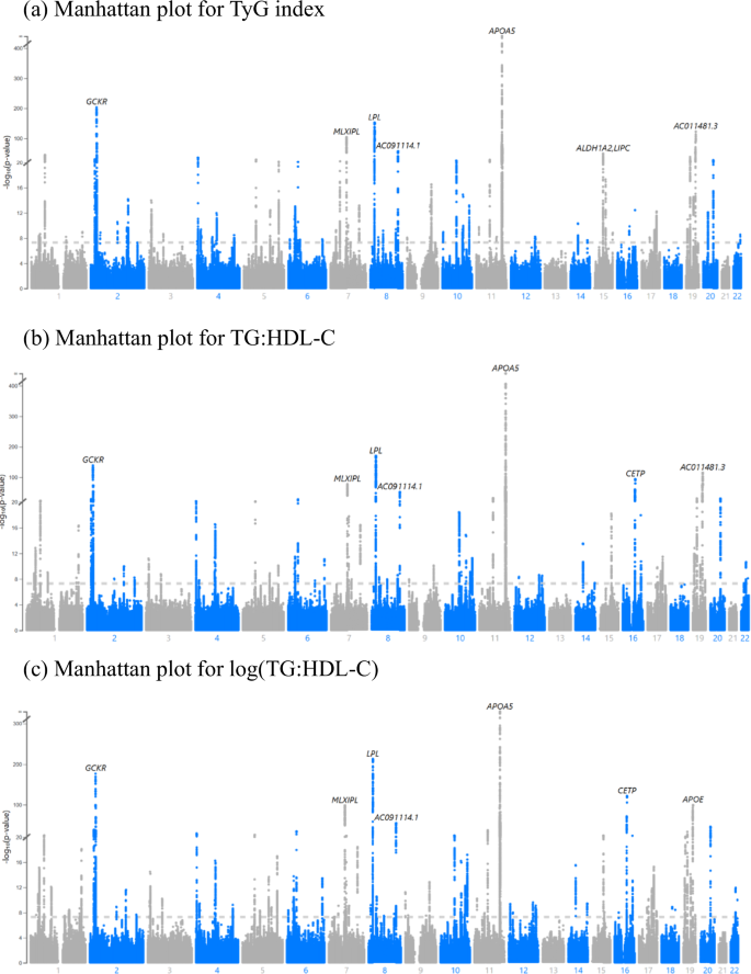 Gene clusters linked to insulin resistance identified in a genome-wide study of the Taiwan Biobank population