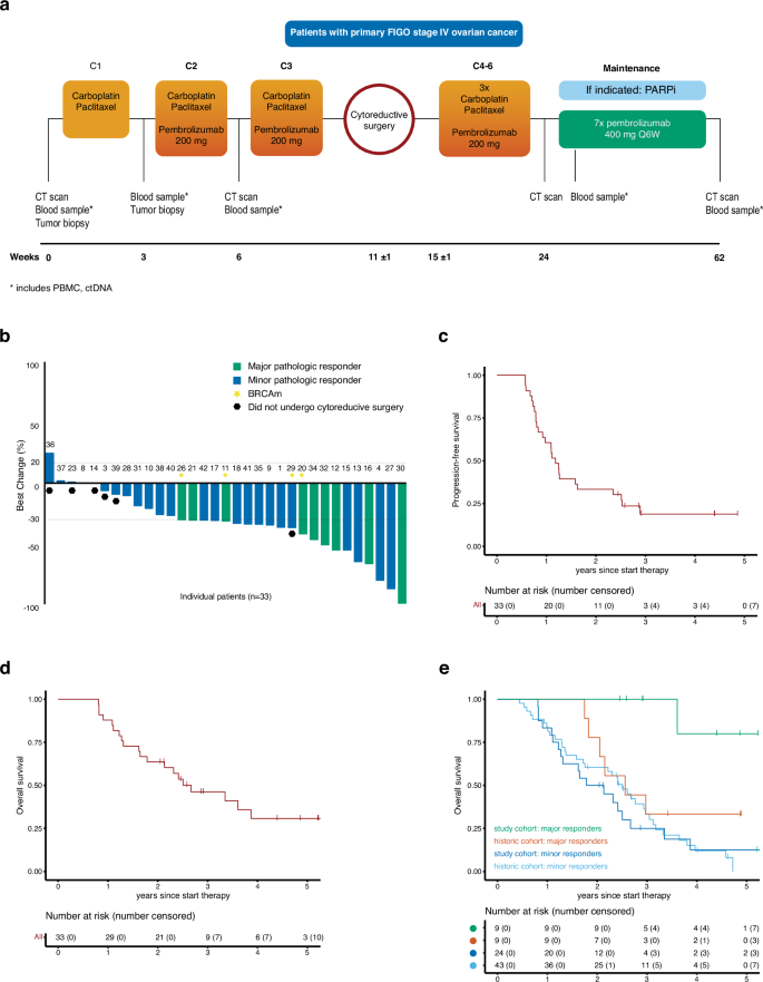 Neo-adjuvant pembrolizumab in stage IV high-grade serous ovarian cancer: the phase II Neo-Pembro trial