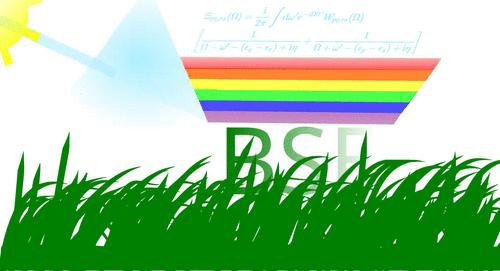 A Guide to Molecular Properties from the Bethe–Salpeter Equation