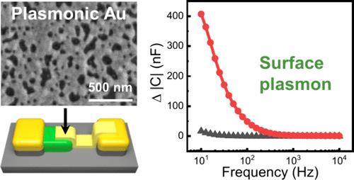 Effects of Surface Plasmon and Catalytic Reactions on Capacitance in Metal–Semiconductor Schottky Diodes