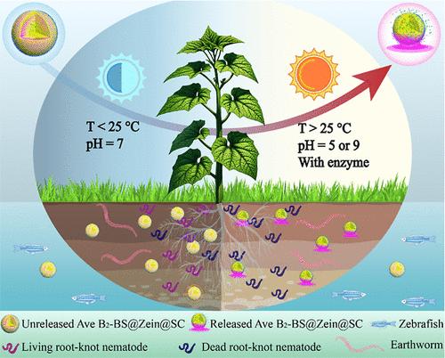 Multiresponsive Zein Nanospheres for Avermectin B2 Delivery: Enhancing Root-Knot Nematode Control and Safety to Nontarget Organisms