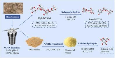 Xylanase-mediated control of xylooligosaccharide polymerization degree following acetic acid buffer hydrolysis of bamboo