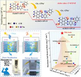 High-efficiency electrochemical desalination enabled by nanosheet-structured redox polymer for sustainable and versatile water treatment