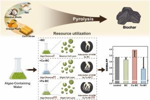The role of biochar in algal source water treatment: Algal cells integrity and N-Nitrosodimethylamine (NDMA) formation potential