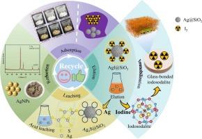 Resource recovery from iodine-containing silver-loaded silica gel: Recycling of silver and immobilization of iodine