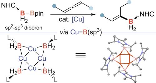 Copper-Catalyzed C–B(sp3) Bond Formation through the Intermediacy of Cu–B(sp3) Complex