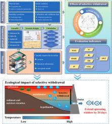 Joint thermal regulation by selective withdrawal in serial cascade reservoir systems effectively improves reservoir and downstream ecological health
