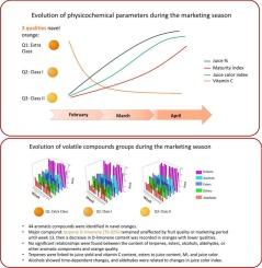 Aromatic profile of navel oranges of different qualities during the commercial season in Valencian Community