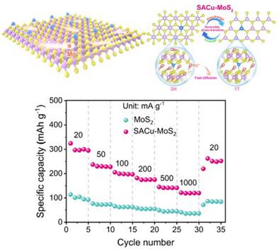 Fast Phase Transformation Enabled by Cu Single Atom Stabilized 1T-Rich MoS2 for Efficient Magnesium Ion Storage