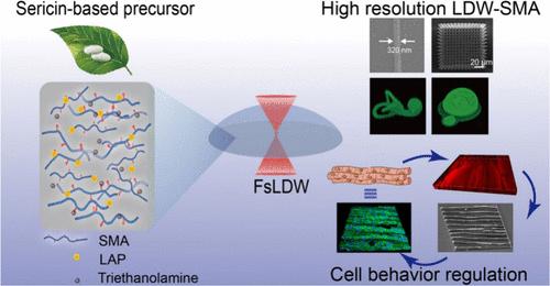 Sericin-Based 3D High-Precision Biomimetic Microscaffold Fabricated by Laser Direct Writing for Tissue Engineering