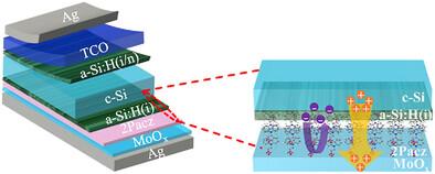 High-Efficiency Silicon Solar Cells with Chemical and Field-Effect Passivation Using Novel 2PACz/MoOx Hole-Selective Contacts