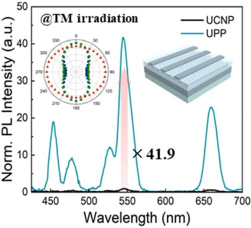Upconverting Plasmonic Polarizer for Selective Enhancement and Polarization of Upconversion Photoluminescence