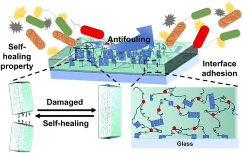Biomimetic Three-Arm Antifouling Coating with High Adhesion and Self-Healing Properties for Marine Optical Windows