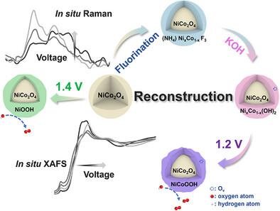 Fluorine Engineering Induces Phase Transformation in NiCo2O4 for Enhanced Active Motifs Formation in Oxygen Evolution Reaction