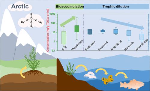 Bioaccumulation and Trophic Transfer of Organophosphate Esters (OPEs) in Arctic Terrestrial and Benthic Marine Ecosystems