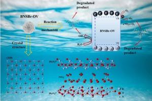 Oxygen-vacancy and surface-bromine-grafting dual active sites of Bi2O2(OH)(NO3) nanosheets for excellent photocatalytic pollution degradation