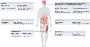 Insulin resistance in type 2 diabetes mellitus