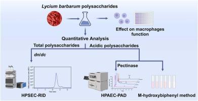 A novel quantitative evaluation strategy of polysaccharides from Lycium barbarum L. fruits based on simultaneous quantification of total polysaccharides and polysaccharides with active structure characteristics