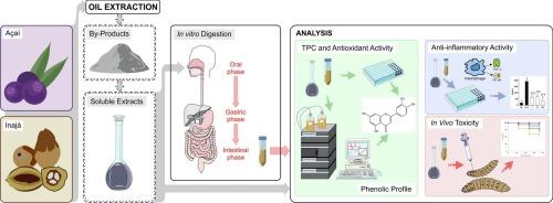 How does in vitro gastrointestinal digestion affect the biological activities and phenolic profile of açaí (Euterpe oleracea) and inajá (Maximiliana maripa) by-products?