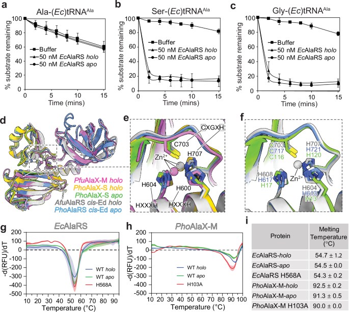 A metal ion mediated functional dichotomy encodes plasticity during translation quality control