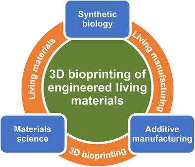 Integrating Engineered Living Materials with 3D Bioprinting