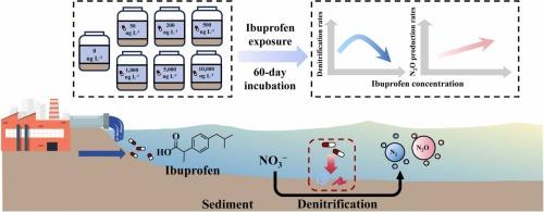 Differential effects of environmentally relevant concentrations of ibuprofen on denitrification and nitrous oxide emissions in river sediments